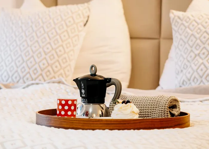 Homestay Brana Historic Boutique